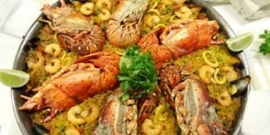 Norhern Spain bicycle trips