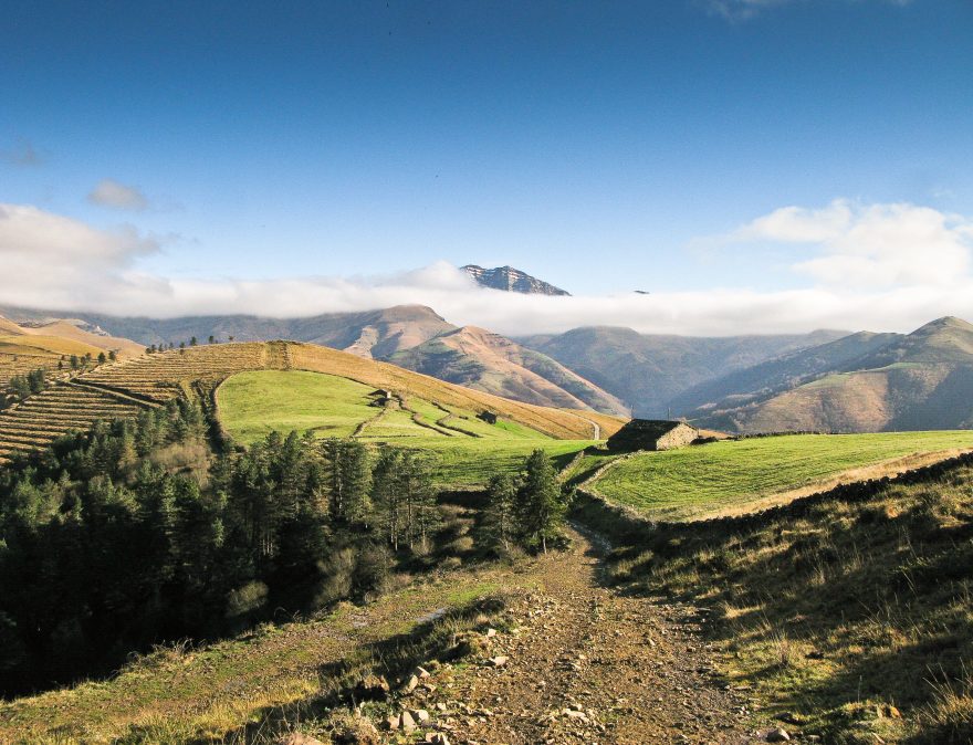 Castro Valnera Green meadows with cotage and mountains in Cantabria