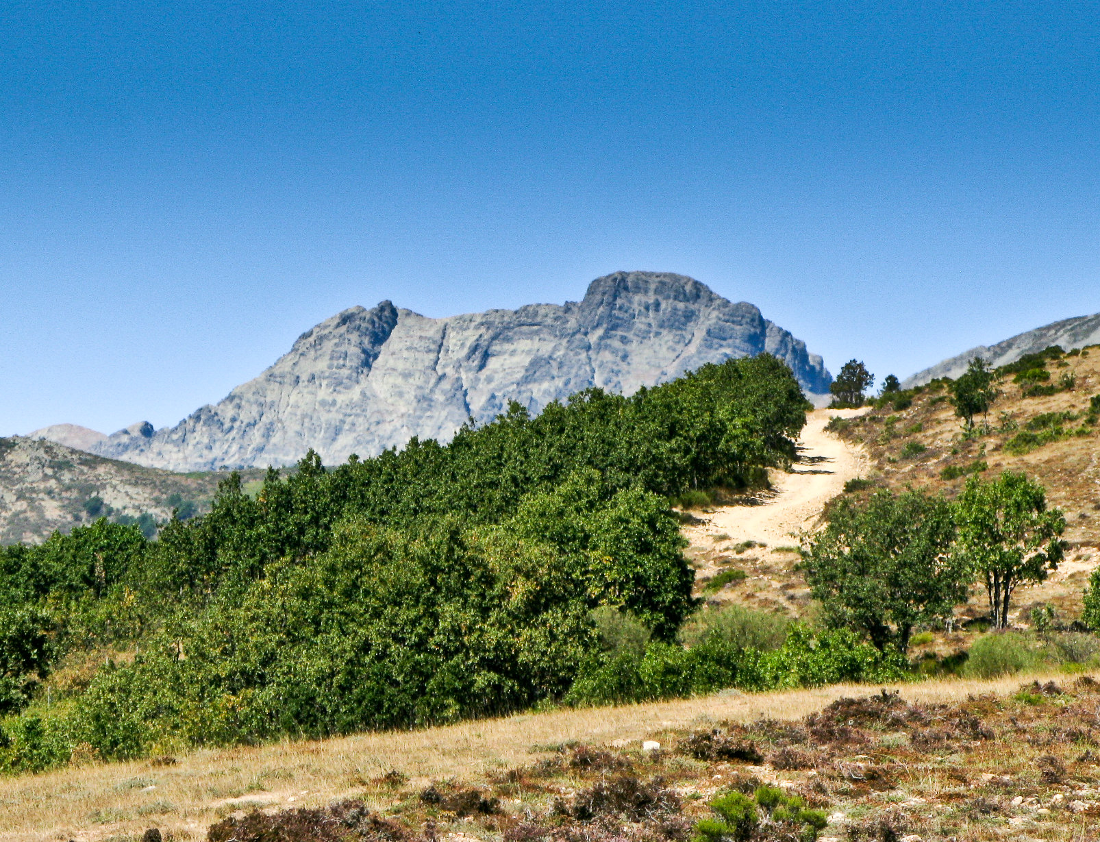 Mountain trail with a rocky mountain in the back in Palencia mountains